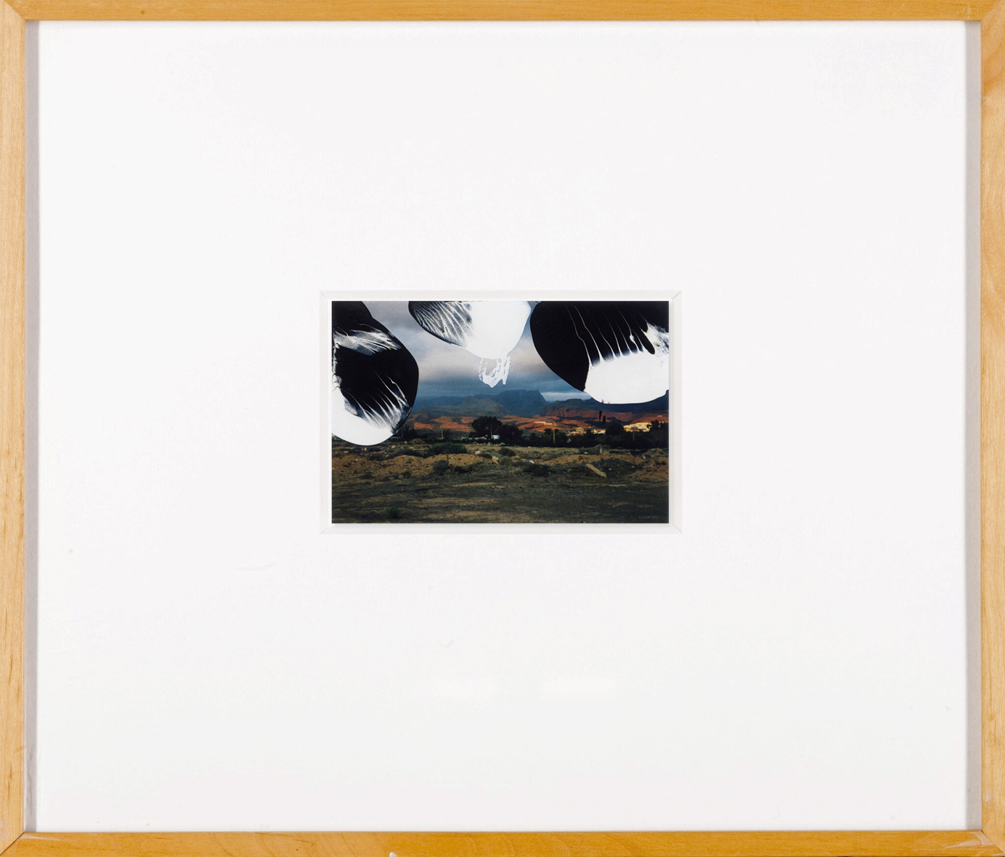 Bild "11.2.92" (1992) (Unikat) von Gerhard Richter