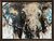 Bild "Elefant_171" (2026) (Unikat)