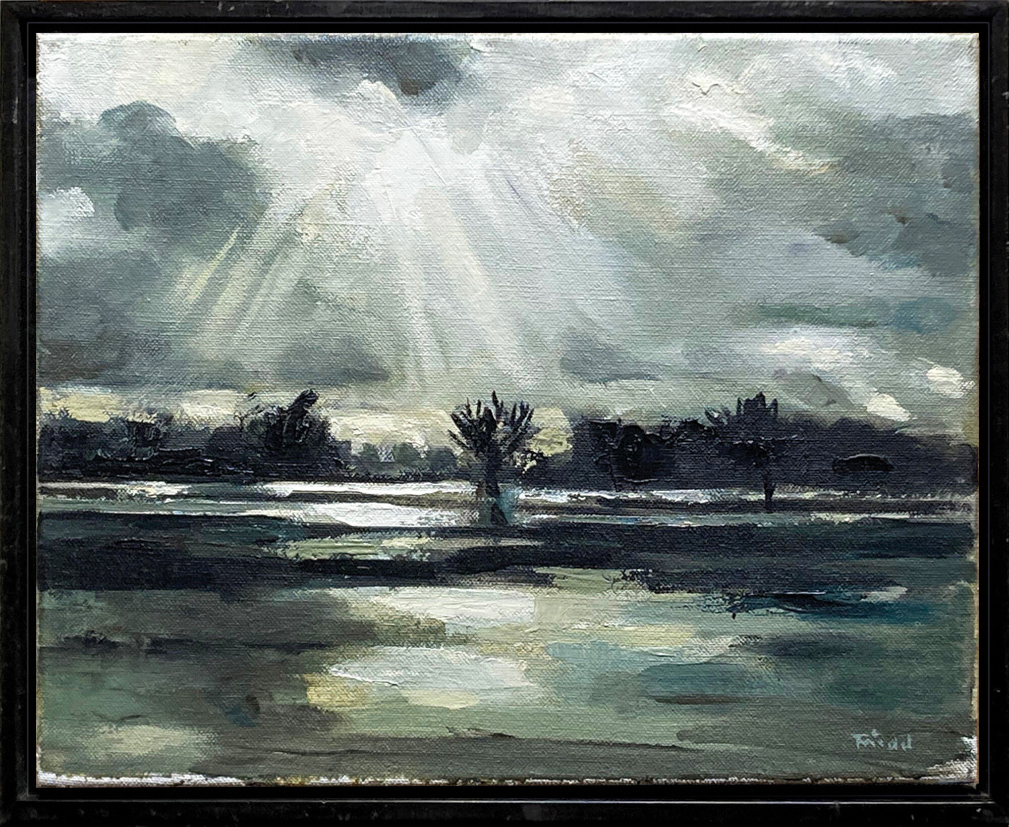 Picture "After the Thunderstorm, Flooded Havel" (2008) (Unique piece) by Lutz Friedel