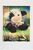 Picture "Margueritte"