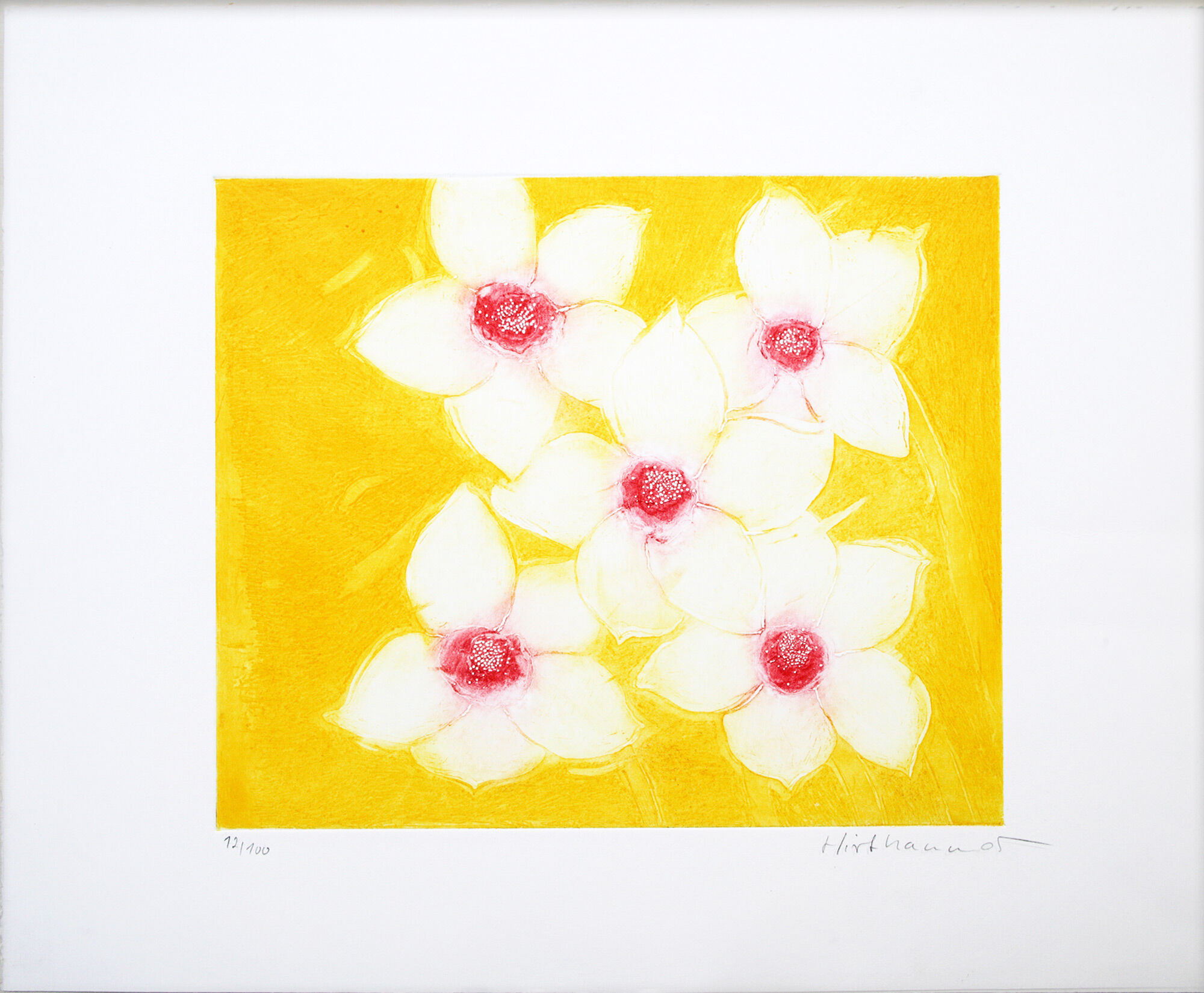 Picture "fiveflowerswhite" (2001) by Josef Hirthammer