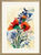 Picture "Corn Poppies and Cornflowers" (2009)