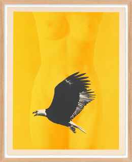 Bild "Eagle Beaver" (1969)