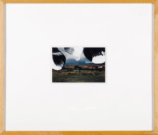 Bild "11.2.92" (1992) (Unikat) von Gerhard Richter