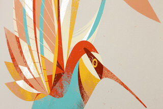 Picture "Hummingbird" (2015) by Dieter Braun