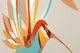 Picture "Hummingbird" (2015) by Dieter Braun