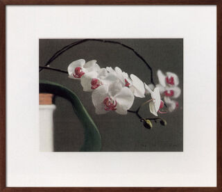 Bild "Orchidee III" (1998)