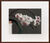 Picture "Orchid III" (1998)