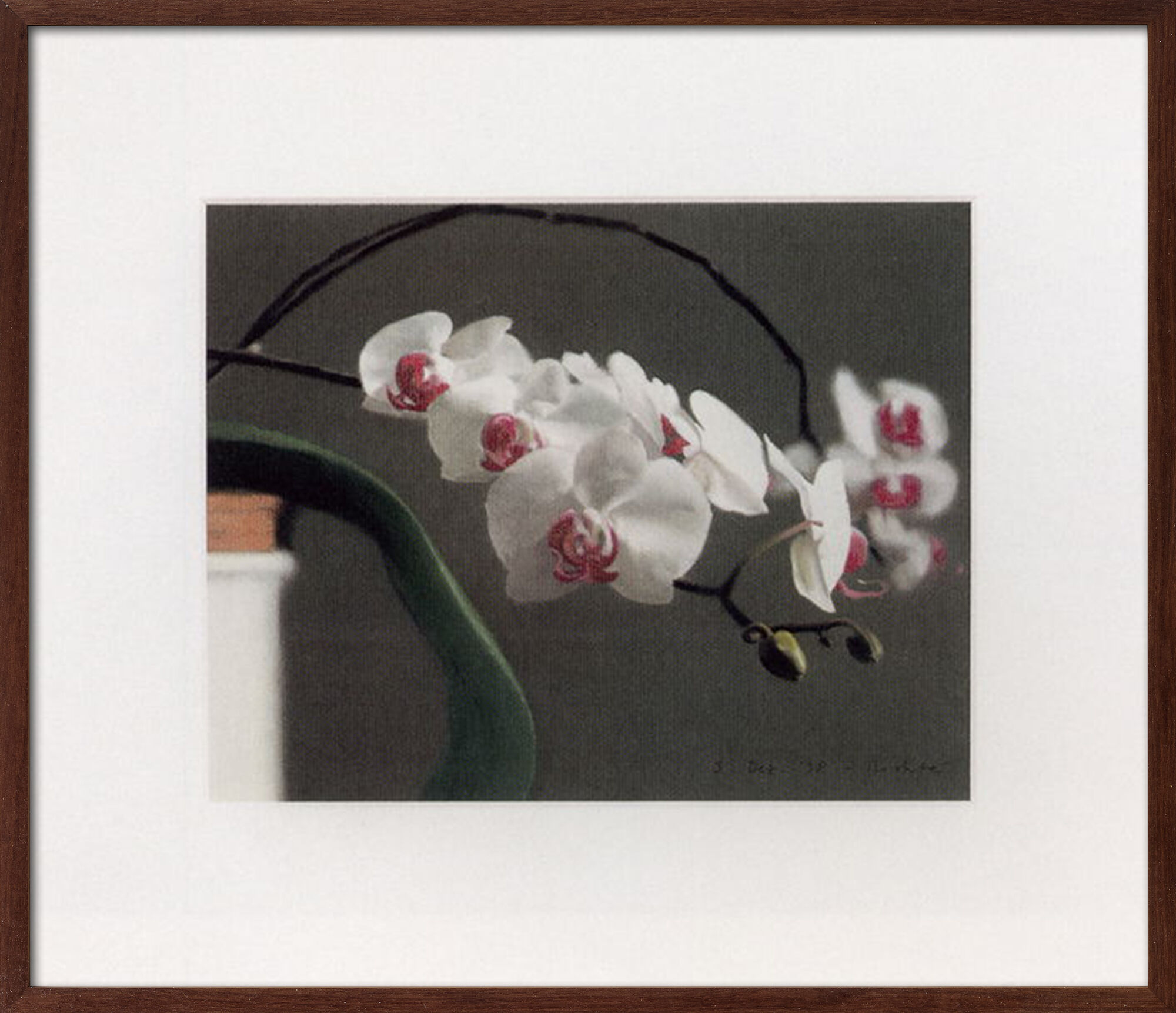 Picture "Orchid III" (1998) by Gerhard Richter