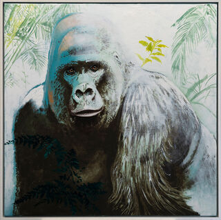 Bild "Serie Lichtblick | Gorilla" (2021-2023)
