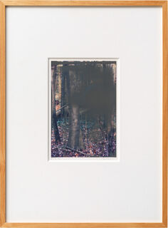 Picture "2.2.08 (Grey Forest)" (2008) (Unique piece)