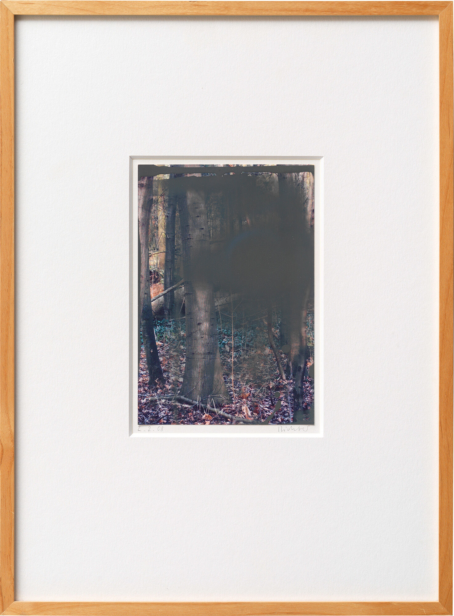 Picture "2.2.08 (Grey Forest)" (2008) (Unique piece) by Gerhard Richter