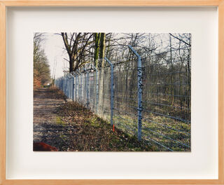 Picture "Fence" (2010)