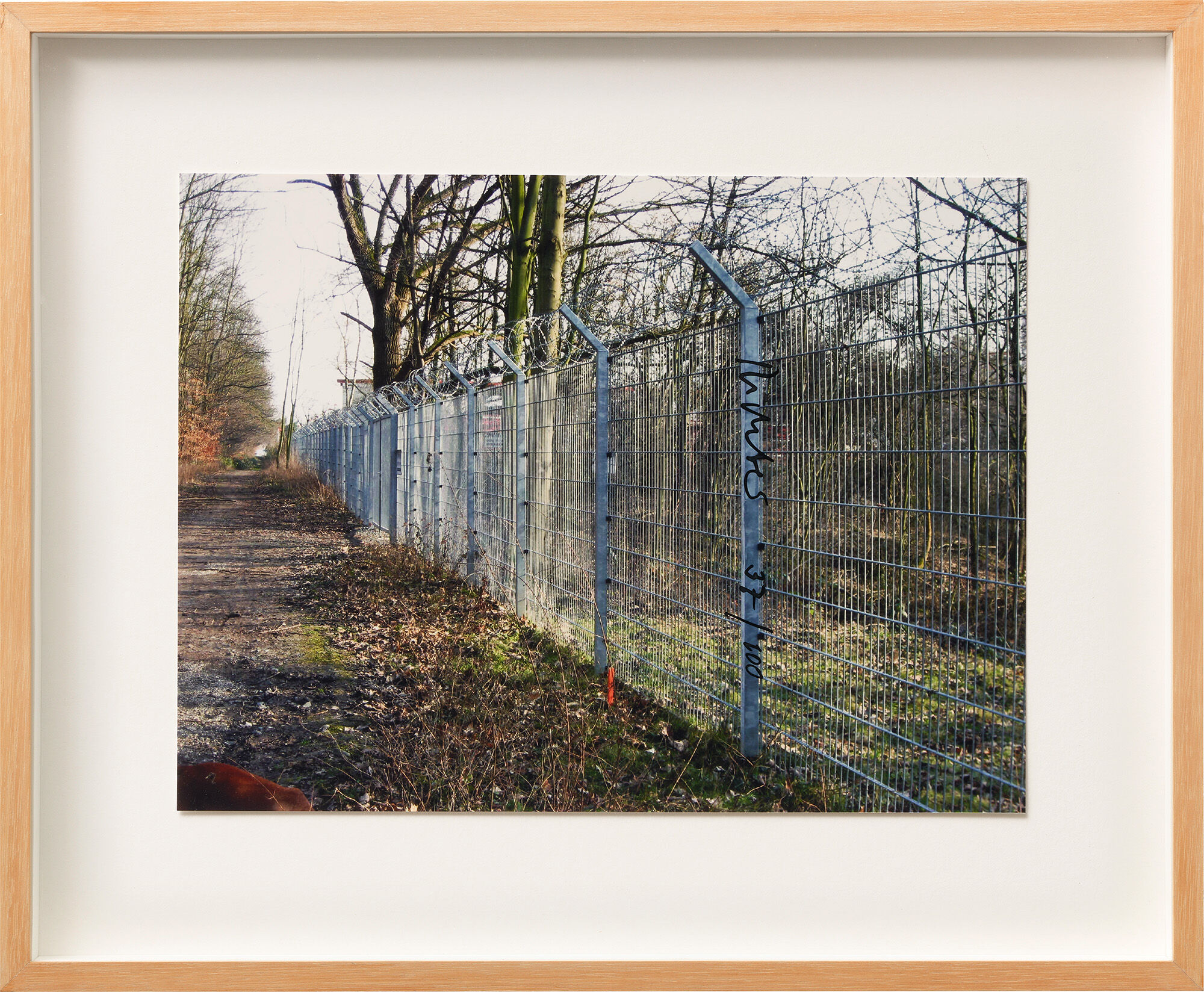Bild "Zaun" (2010) von Gerhard Richter