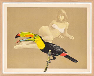 Bild "Toucan Better Than One" (1969)